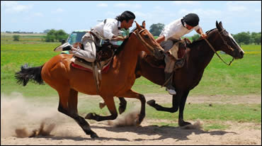 Fiesta Gaucha | Día de campo | Turismo en Buenos Aires