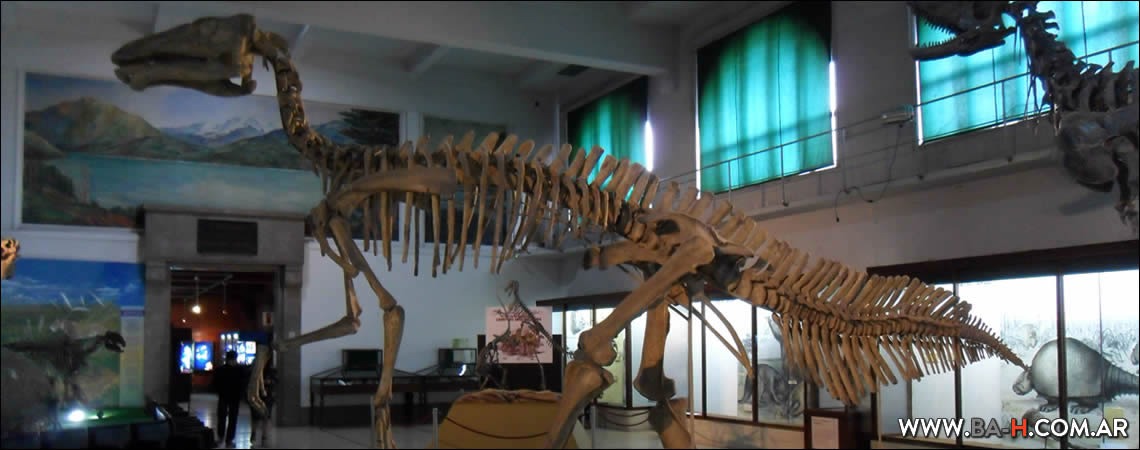 Museo Argentino de Ciencias Naturales