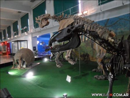 Dinosaurios en el Museo Argentino de Ciencias Naturales