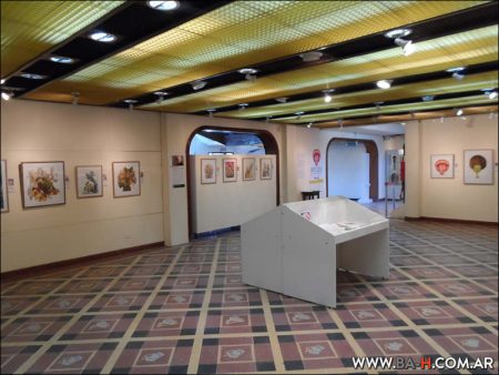 Colecciones en el Museo del Humor