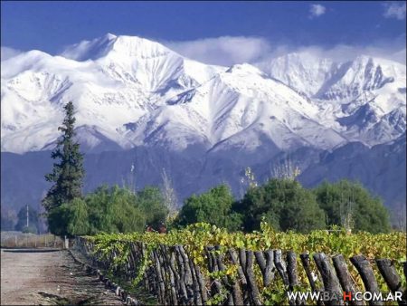 Mendoza tour: city tour, wine yards tour, Argentina