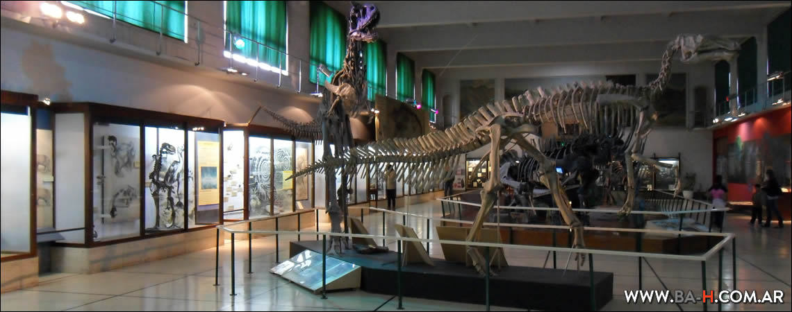 Qué hacer en Mayo en Buenos Aires: Museo de Ciencias Naturales