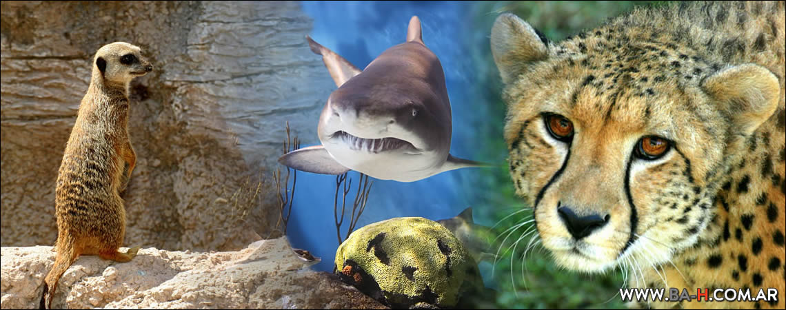 101 cosas sobre Buenos Aires Bioparque Temaiken