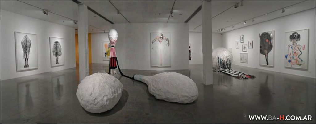 Exhibición en el Museo de Arte Moderno de Buenos Aires