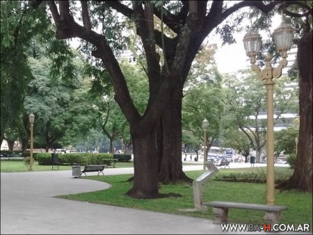 Paseando por la Plaza San Martín
