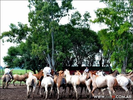 Fiesta Gaucha en Estancia Santa Susana
